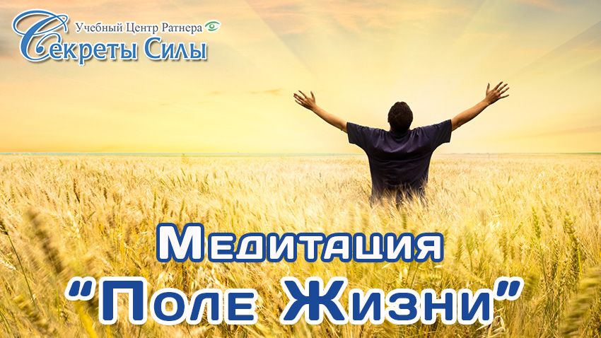 Жизнь поле. Медитационное поле. В чем секрет силы.
