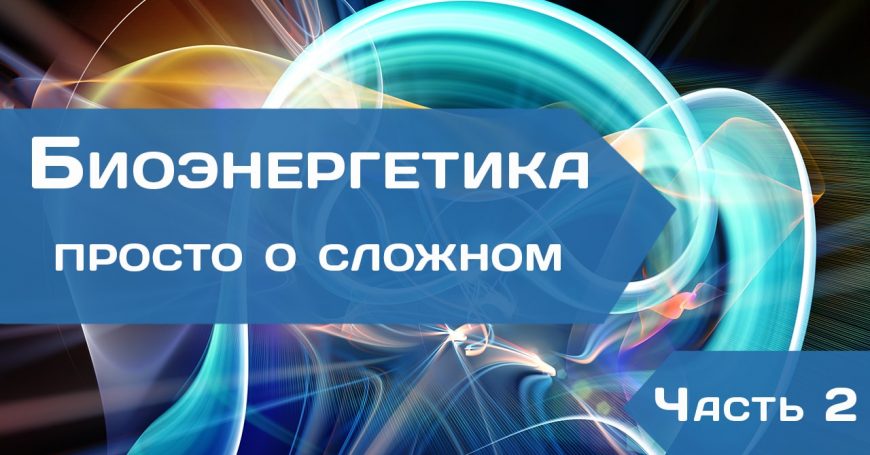 Биоэнергетика - просто о сложном. Часть 2