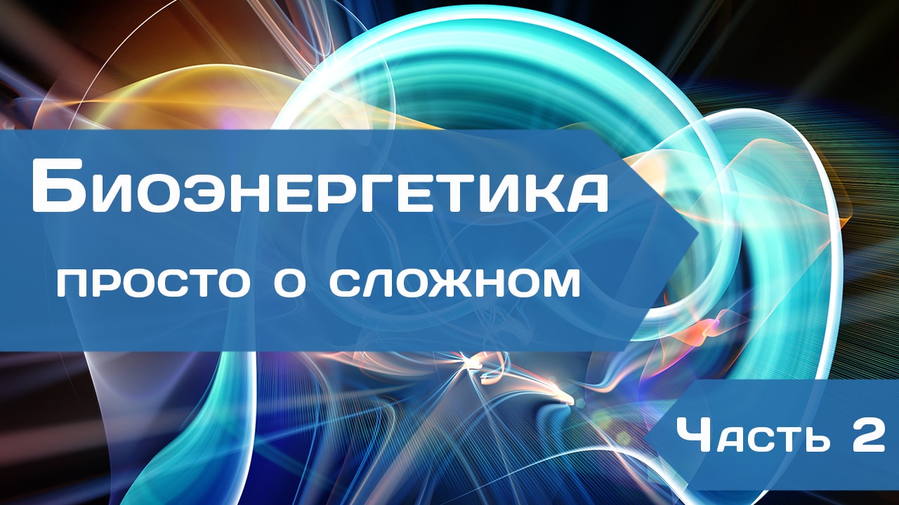 Биоэнергетика - просто о сложном. Часть 2