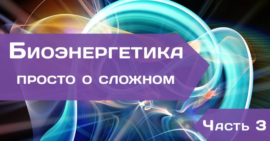 Биоэнергетика – просто о сложном. Часть 3