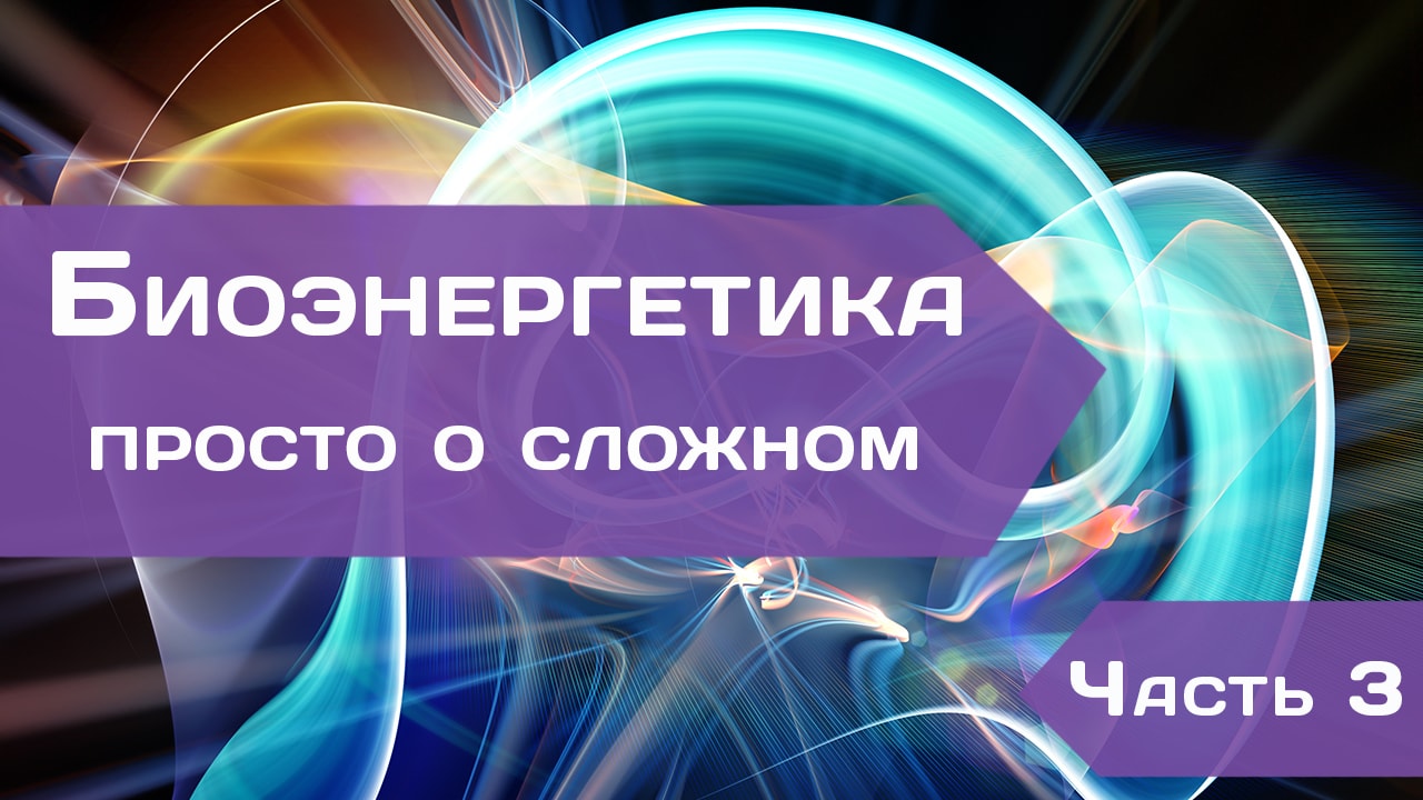 Биоэнергетика – просто о сложном. Часть 3