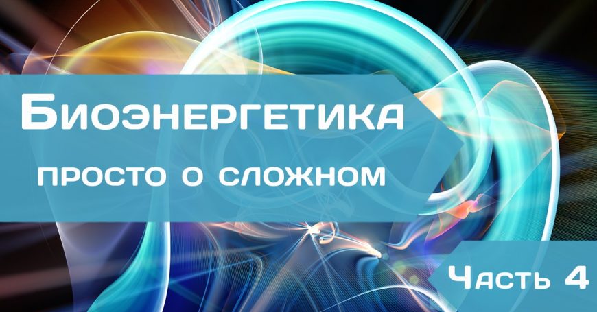 Биоэнергетика – просто о сложном. Часть 4