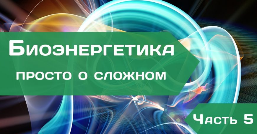 Биоэнергетика – просто о сложном. Часть 5