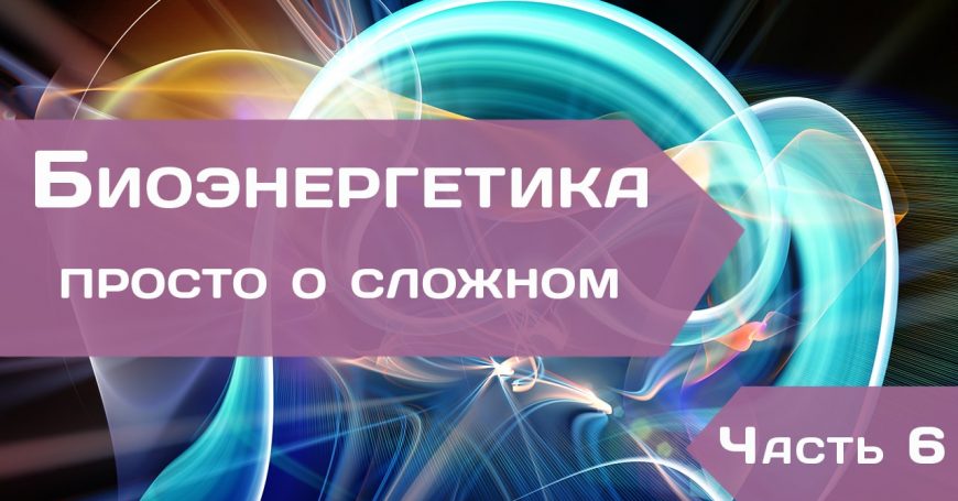 Биоэнергетика – просто о сложном. Часть 6