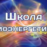 Школа Биоэнергетики